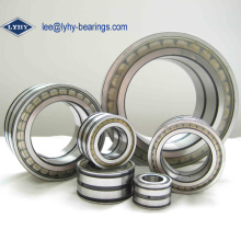 Doulbe Row Full Complement Cylindrical Bearing (NNCL4980CV)